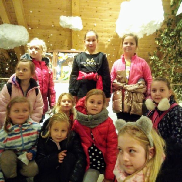 IMG_20191218_145338_6CS